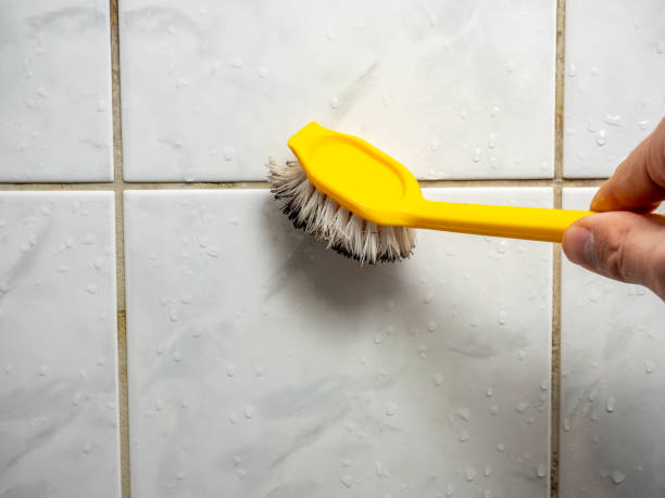 Best Residential Mold Remediation in Kiel, WI