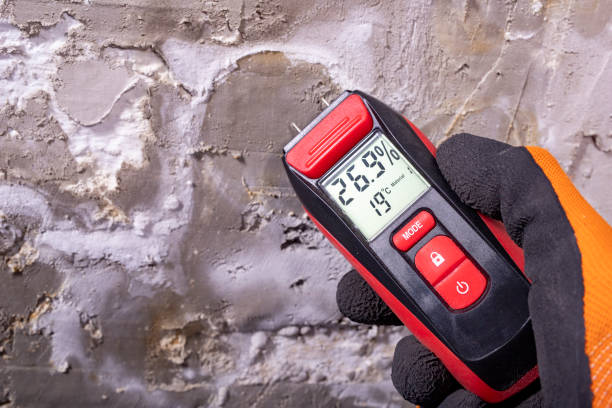Best Kitchen Mold Remediation in Kiel, WI