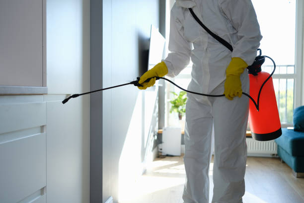 Best Post-Flood Mold Remediation in Kiel, WI