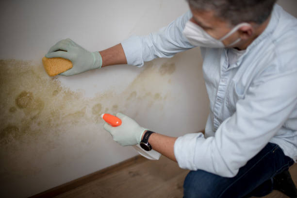 Best Bathroom Mold Remediation in Kiel, WI